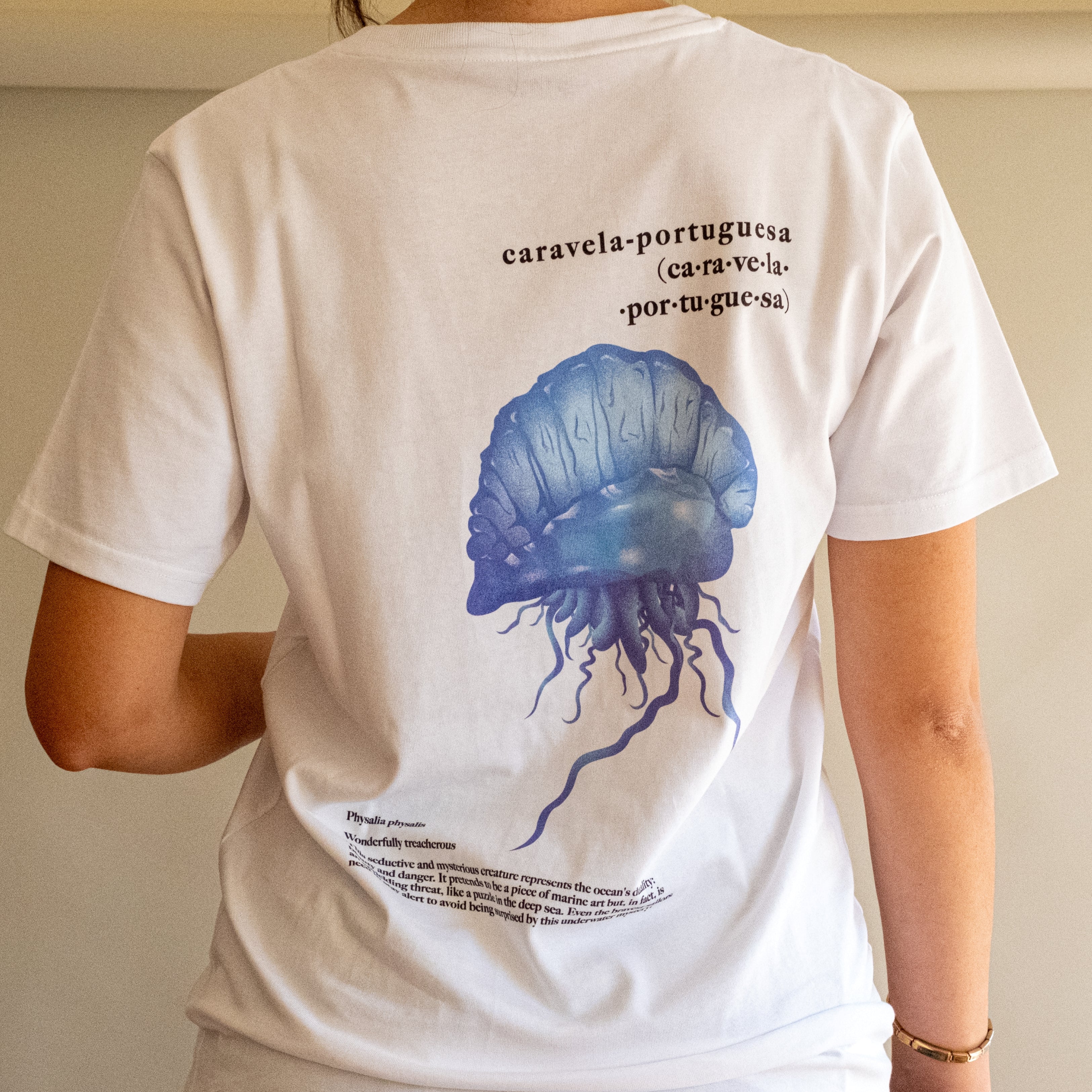 Caravela Portuguesa | Physalia Physalis