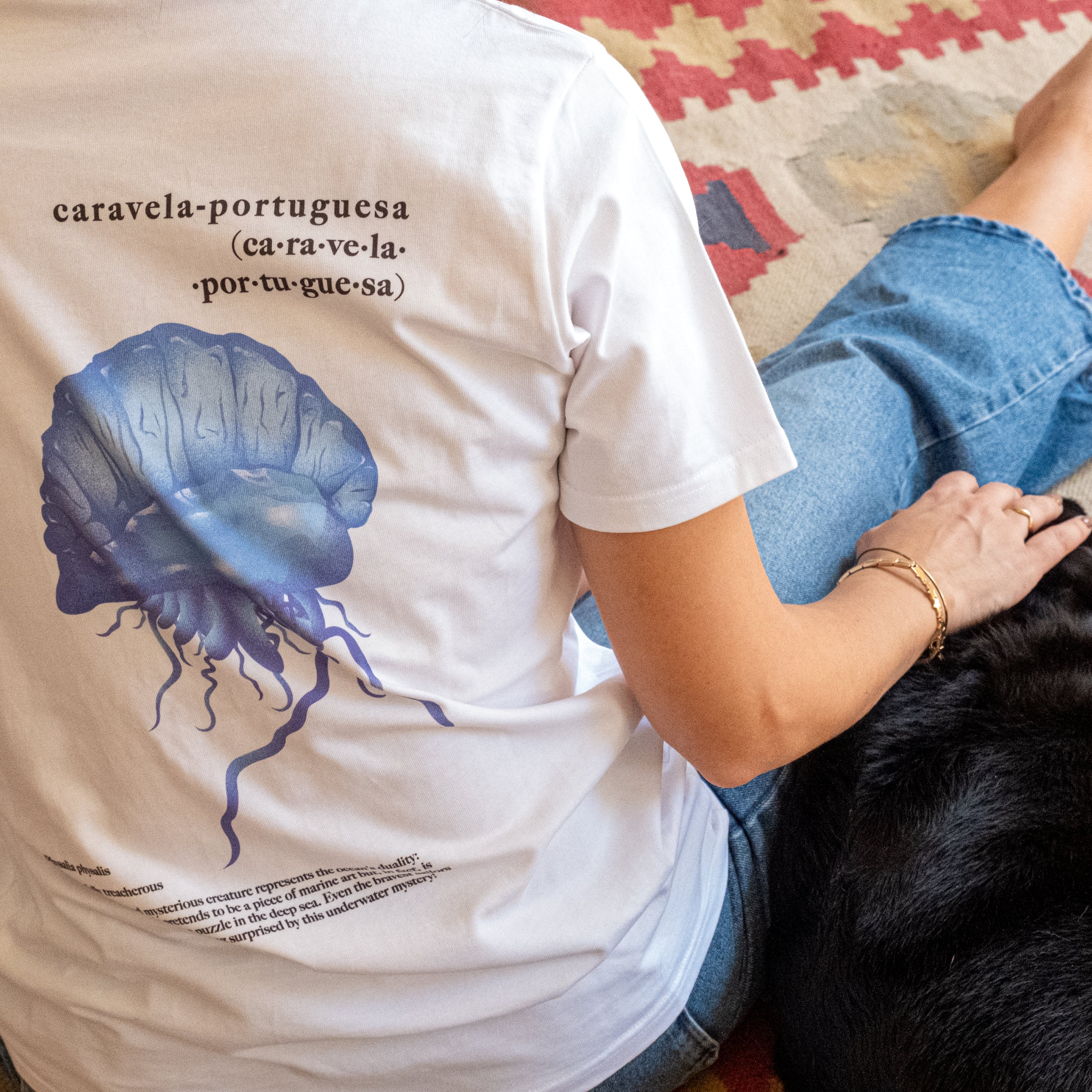 Caravela Portuguesa | Physalia Physalis