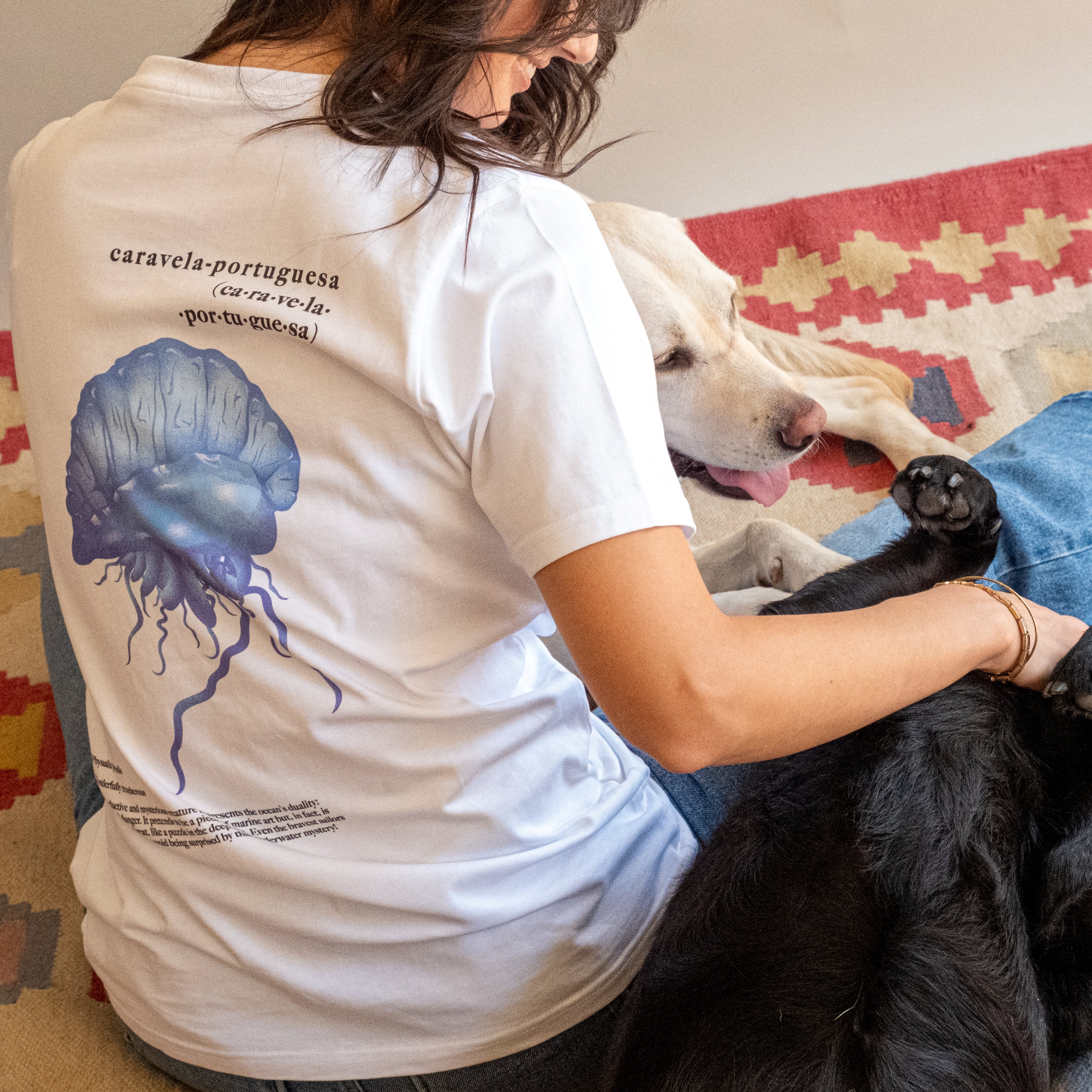 Caravela Portuguesa | Physalia Physalis