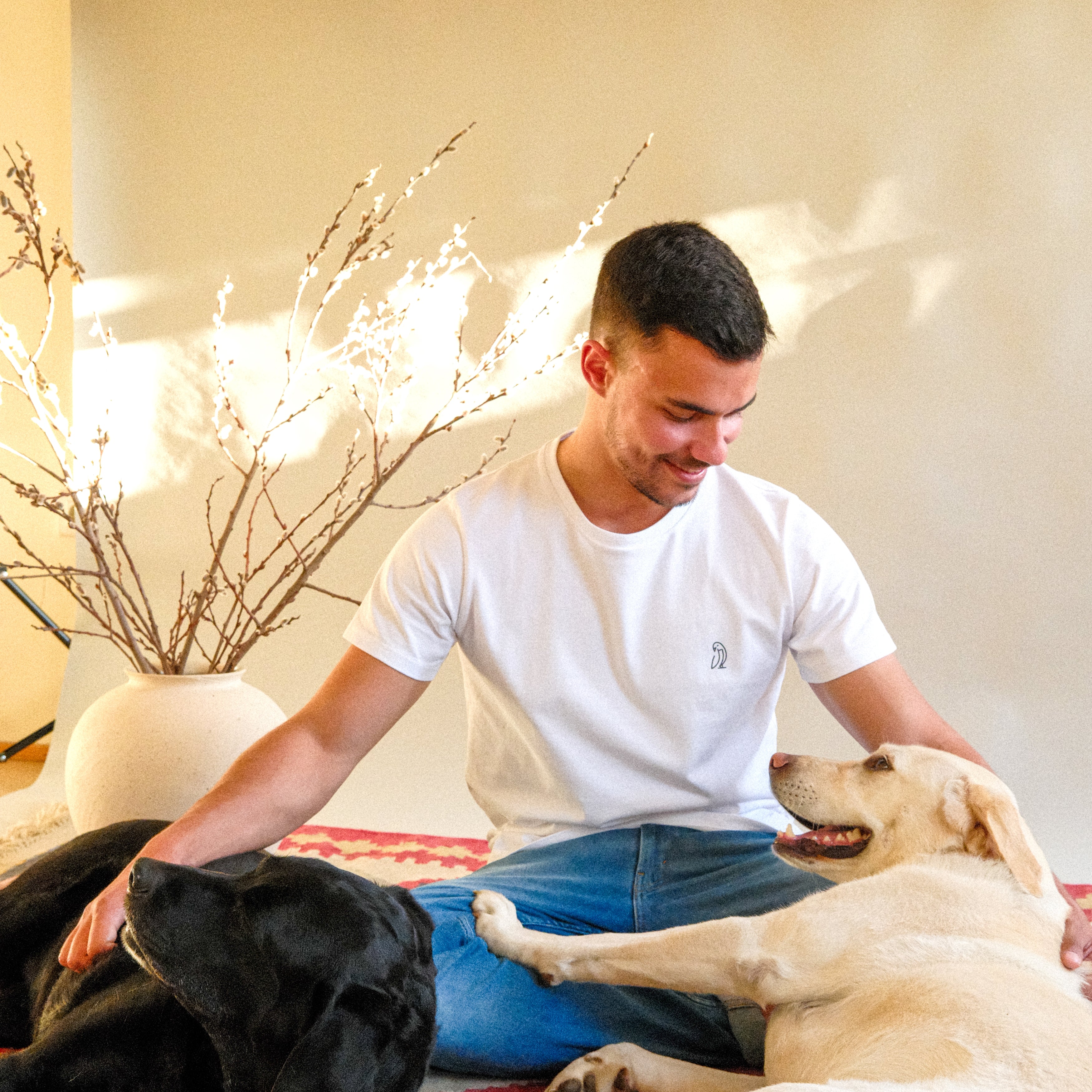 Caravela Portuguesa | Physalia Physalis