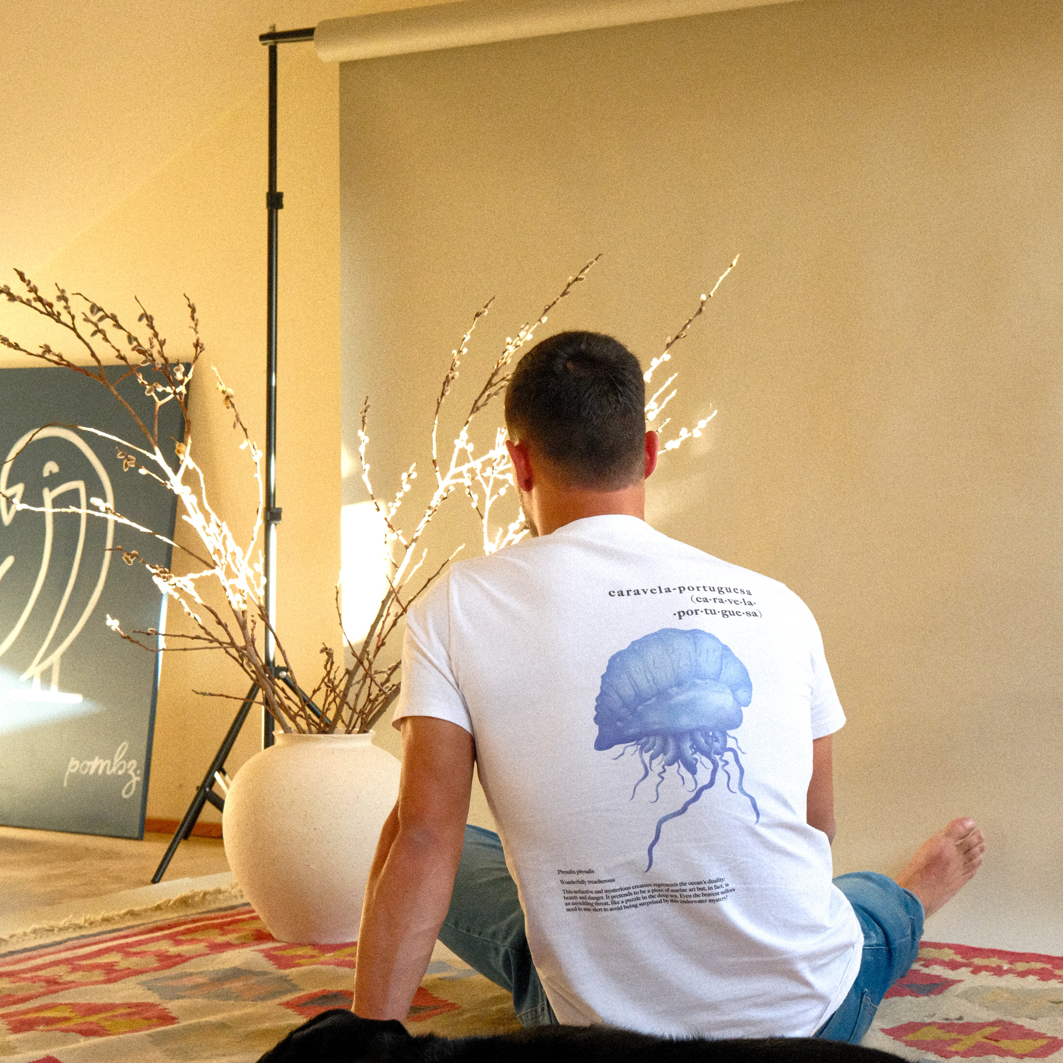 Caravela Portuguesa | Physalia Physalis