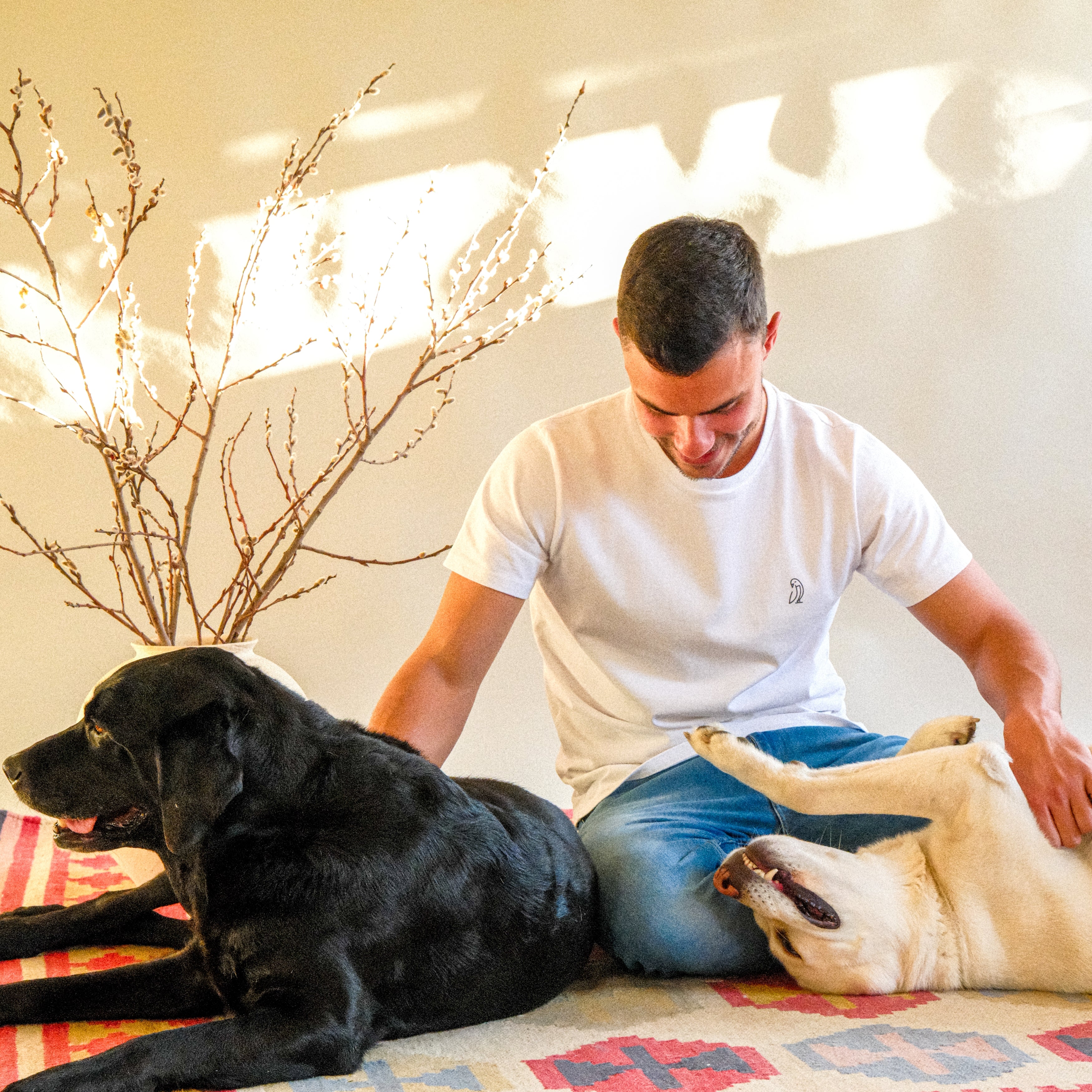 Malagueta | Capsicum frutescens