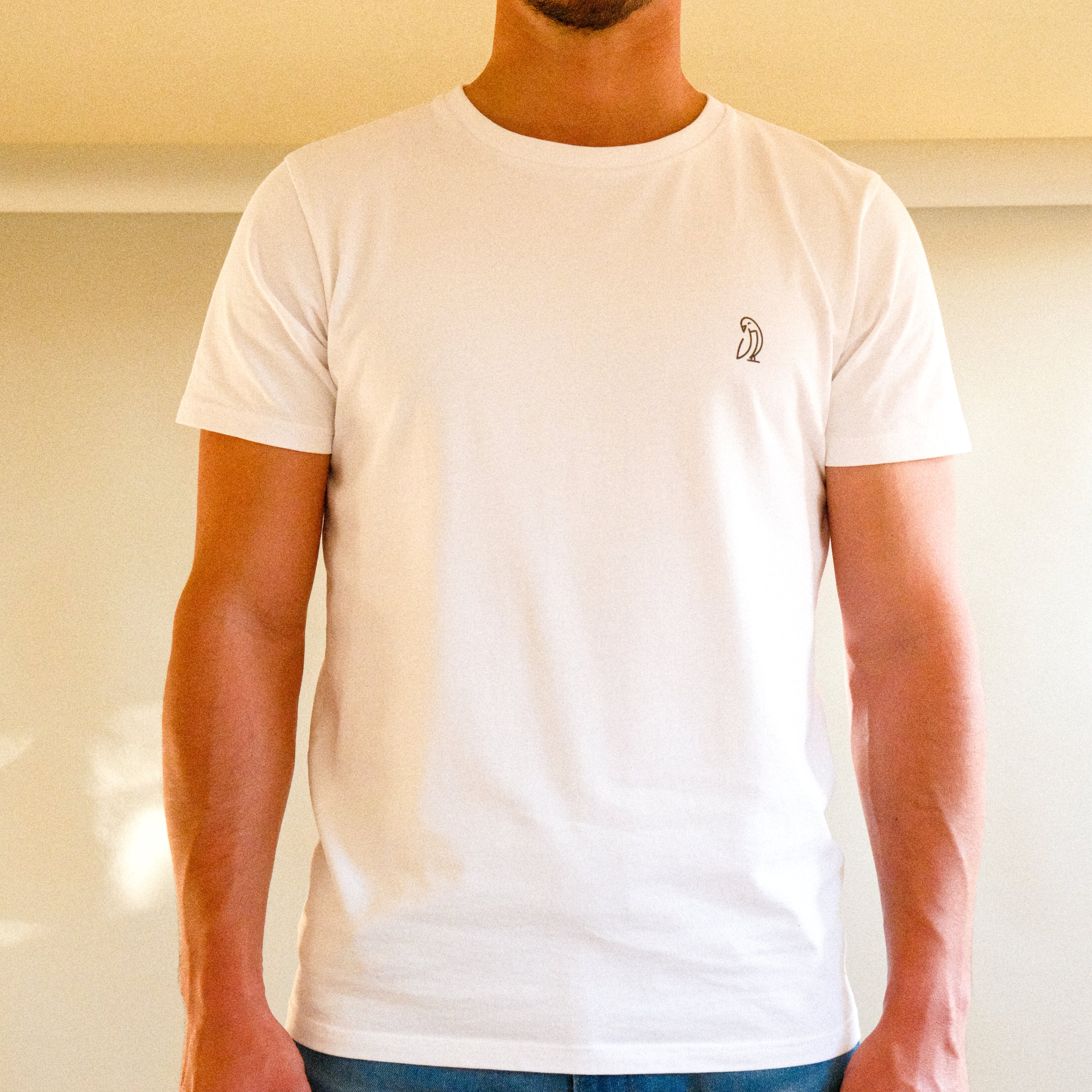 Malagueta | Capsicum frutescens